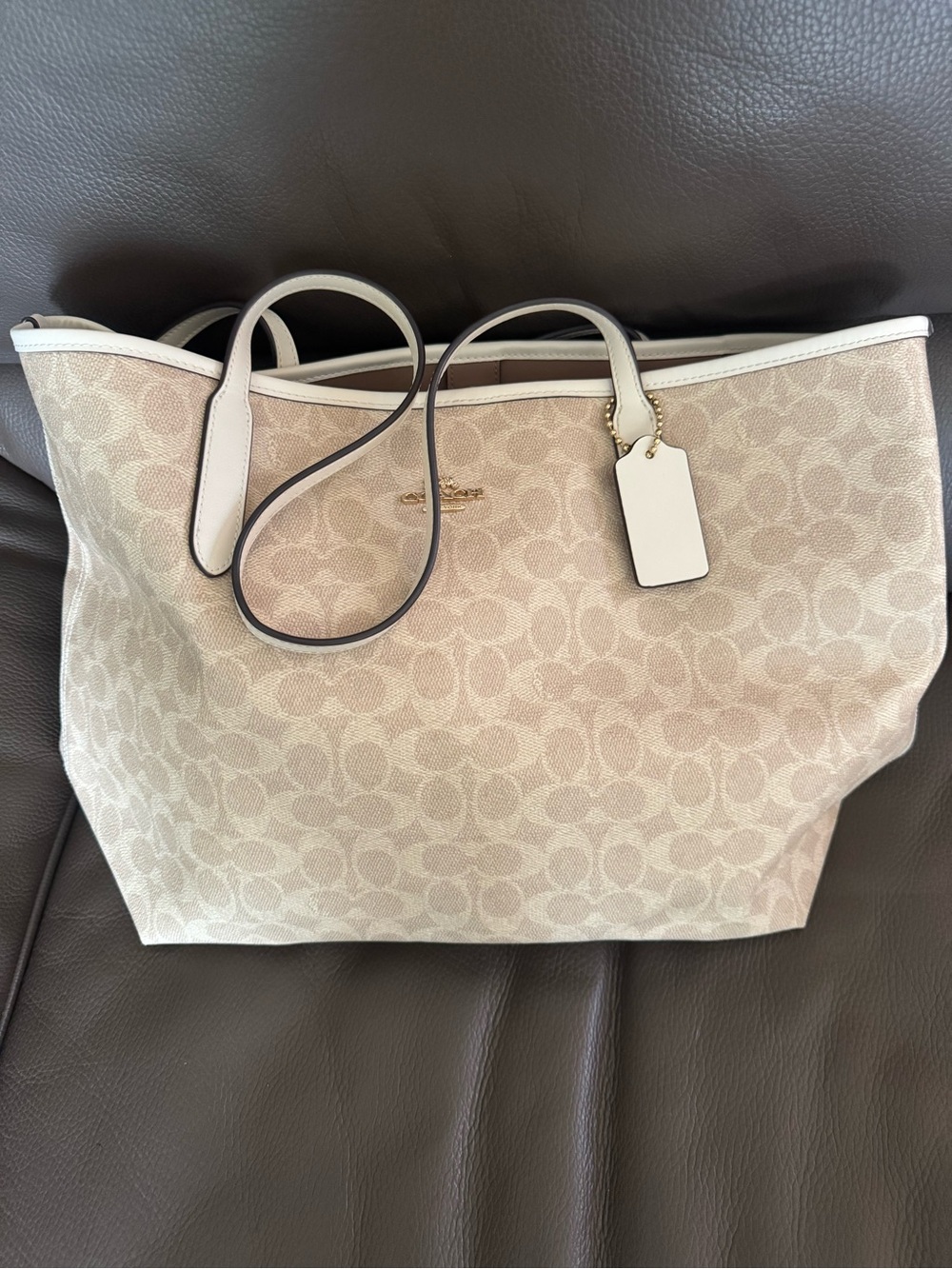 Coach Signature Canvas Tote in Chalk